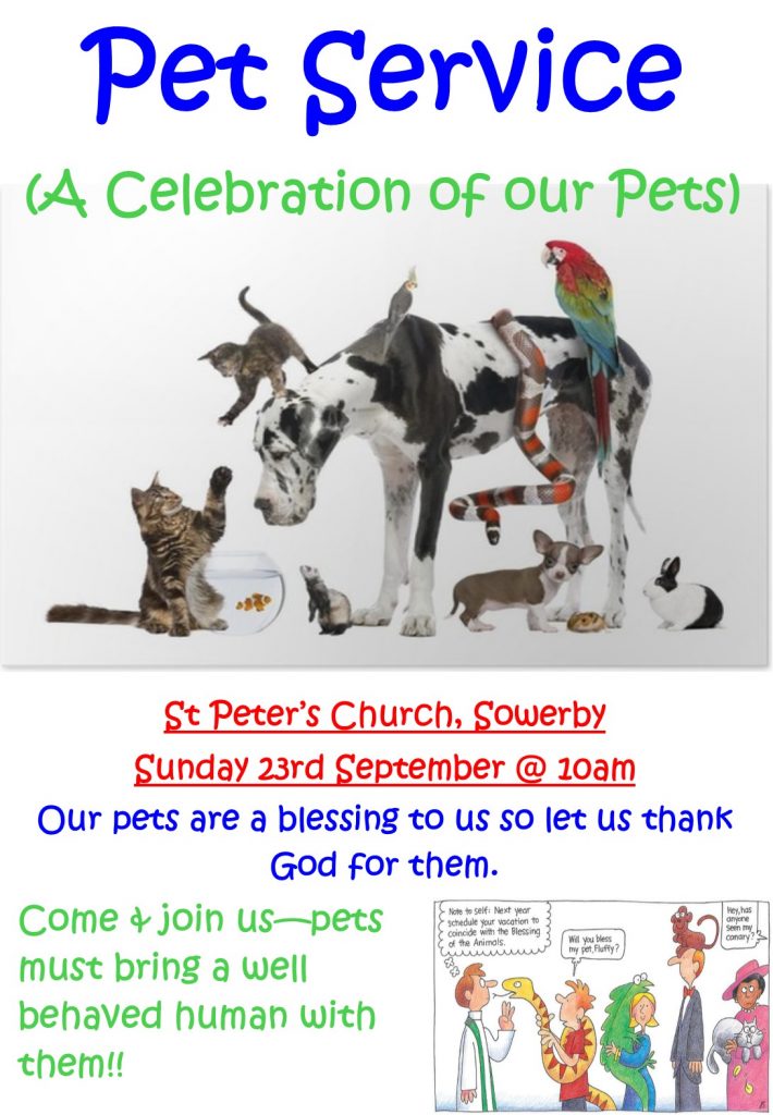 Pet Services Poster